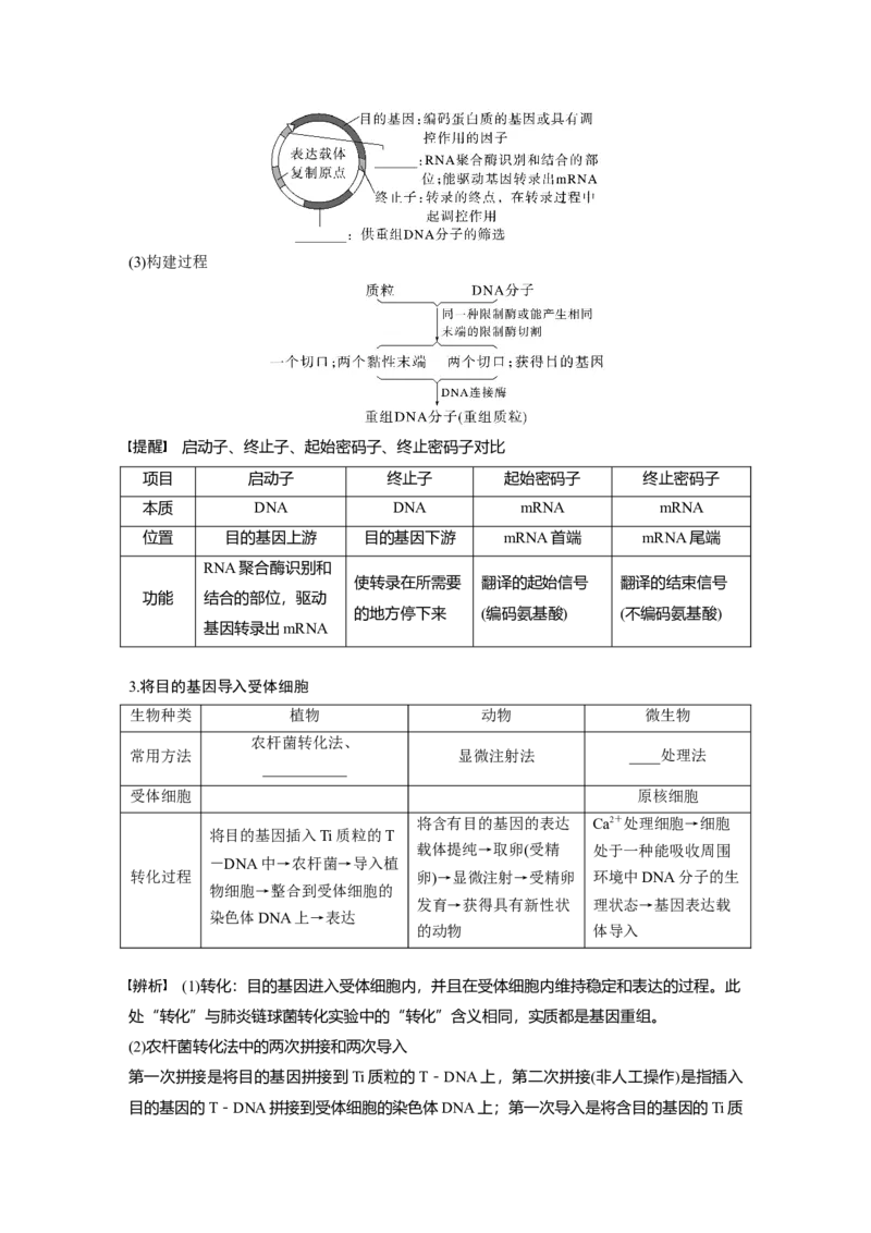第10单元　第6课时　基因工程的基本工具和基本操作程序_新高考复习资料_2024年新高考复习资料_一轮复习资料_完2024生物步步高大一轮复习（课件+讲义）_学生版在此文件夹