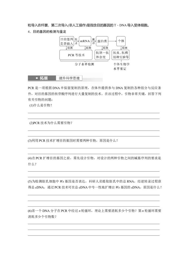 第10单元　第6课时　基因工程的基本工具和基本操作程序_新高考复习资料_2024年新高考复习资料_一轮复习资料_完2024生物步步高大一轮复习（课件+讲义）_学生版在此文件夹