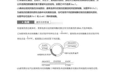 第10单元　第6课时　基因工程的基本工具和基本操作程序_新高考复习资料_2024年新高考复习资料_一轮复习资料_完2024生物步步高大一轮复习（课件+讲义）_学生版在此文件夹