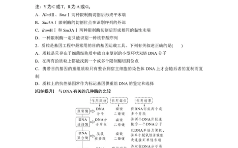 第10单元　第6课时　基因工程的基本工具和基本操作程序_新高考复习资料_2024年新高考复习资料_一轮复习资料_完2024生物步步高大一轮复习（课件+讲义）_学生版在此文件夹