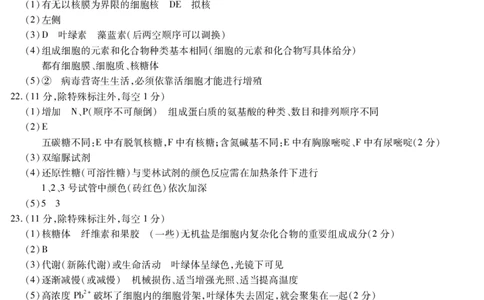 生物答案高一期中定稿_2025年11月高一试卷_251117黑龙江省绥化市新时代2025-2026学年高一上学期11月期中联考（全）