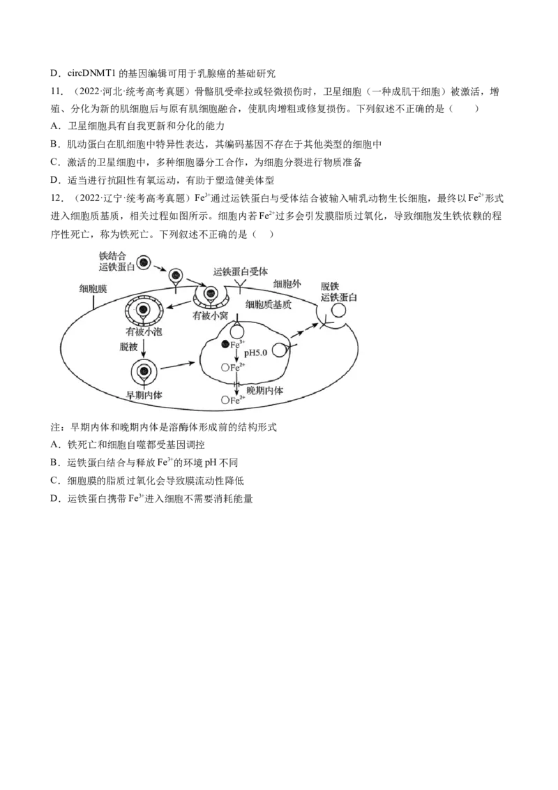 第14讲细胞的分化、衰老、死亡和癌变（练习）（原卷版）_新高考复习资料_2024年新高考复习资料_一轮复习资料_完2024年高考生物一轮复习讲练测(课件+讲义+练习)（新高考）_讲义+练习