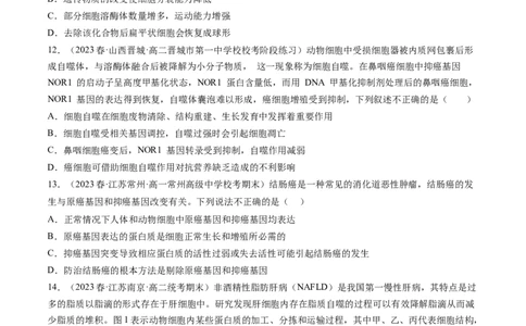第14讲细胞的分化、衰老、死亡和癌变（练习）（原卷版）_新高考复习资料_2024年新高考复习资料_一轮复习资料_完2024年高考生物一轮复习讲练测(课件+讲义+练习)（新高考）_讲义+练习