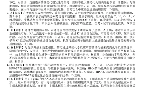 生物答案_2024年12月试卷_1220广西壮族自治区&ldquo;贵百河-武鸣高中&rdquo;2024-2025学年高一上学期12月月考试题