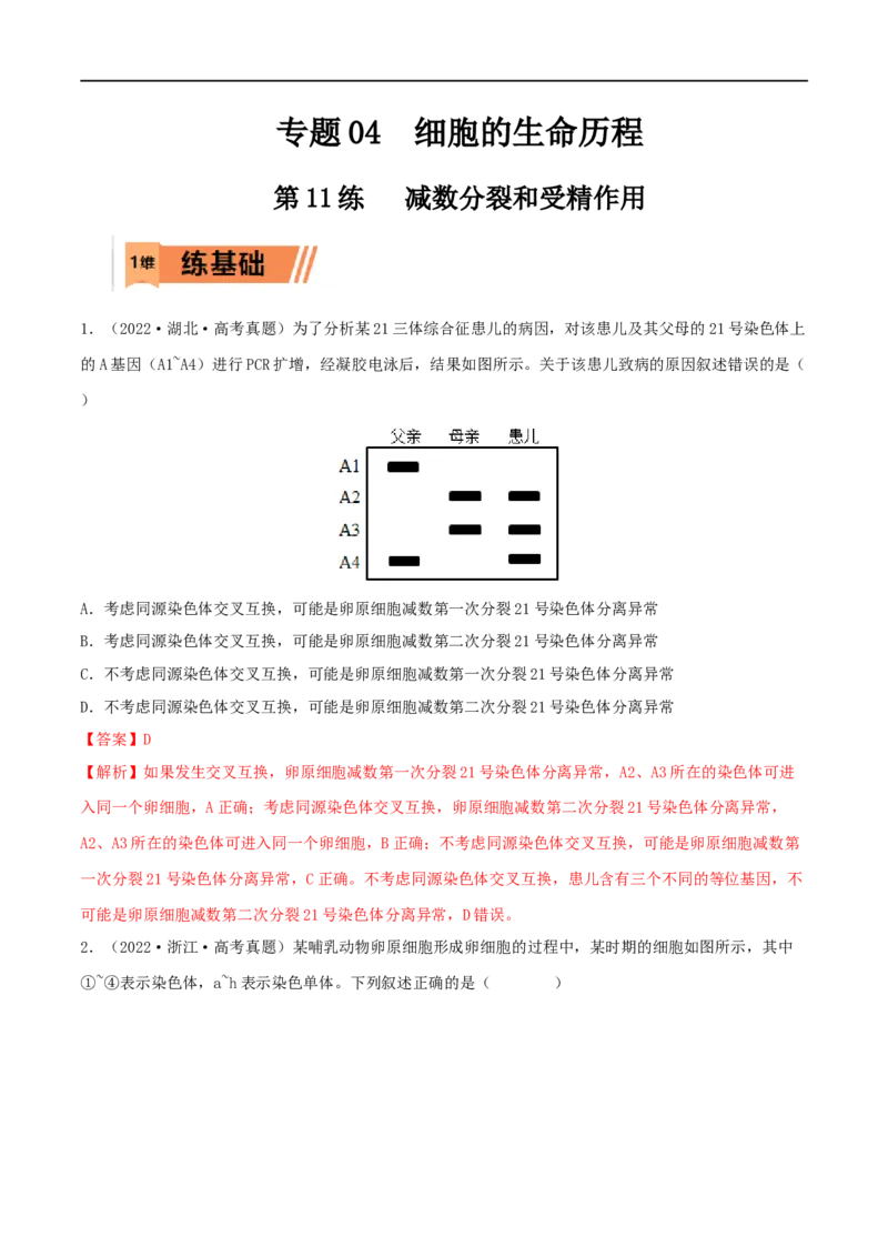 第11练减数分裂和受精作用（解析版）_新高考复习资料_2023年新高考复习资料_一轮复习_2023年高考生物一轮复习小题多维练（新高考专用）
