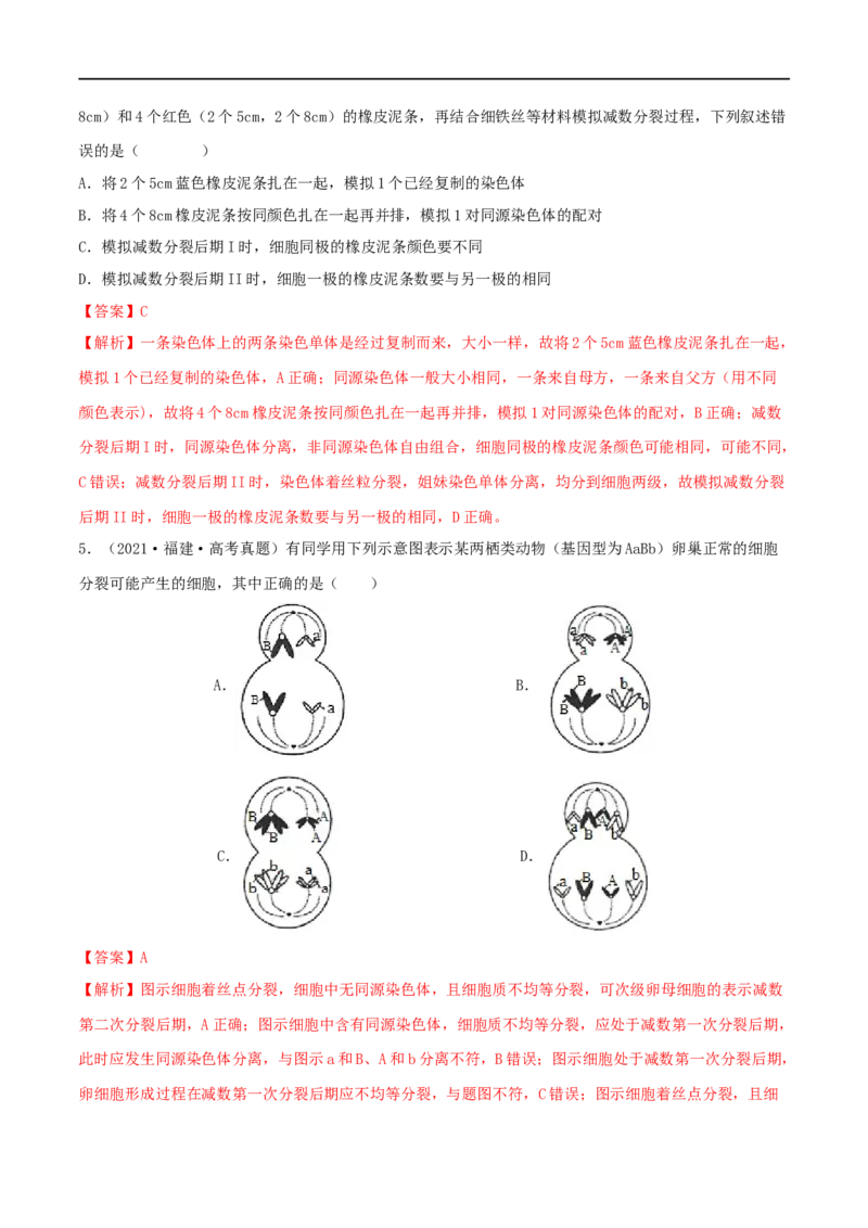 第11练减数分裂和受精作用（解析版）_新高考复习资料_2023年新高考复习资料_一轮复习_2023年高考生物一轮复习小题多维练（新高考专用）