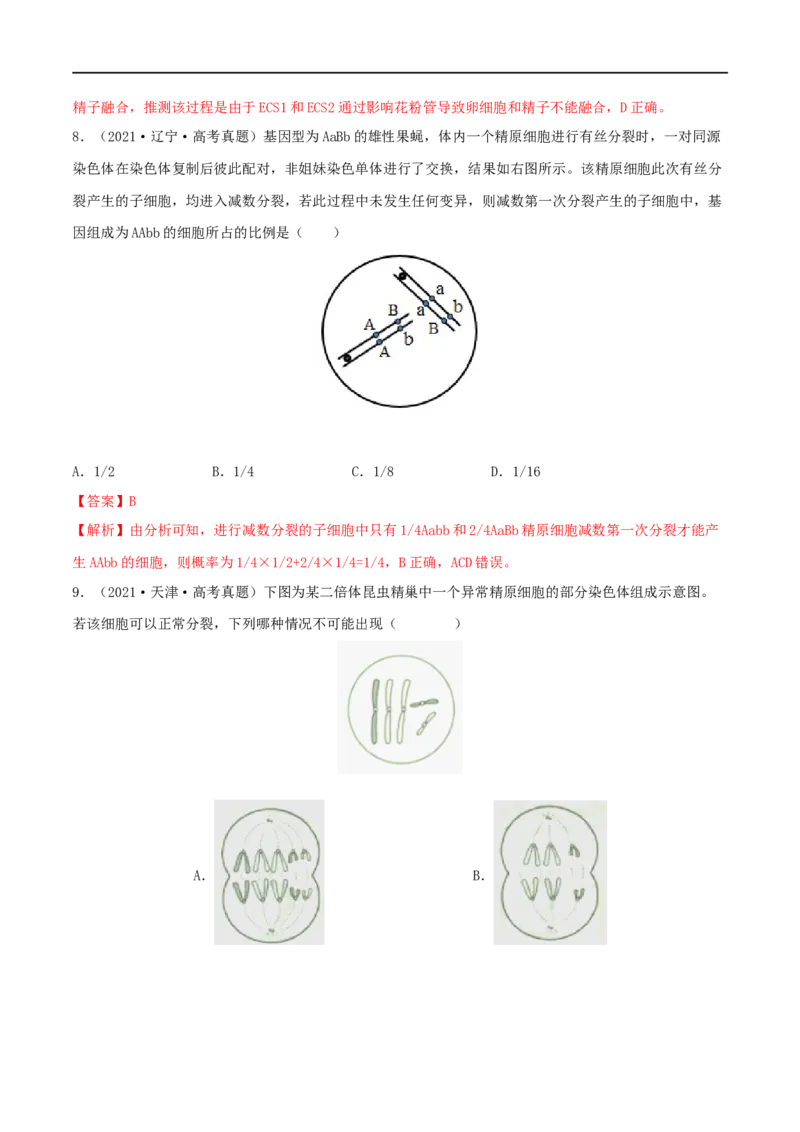 第11练减数分裂和受精作用（解析版）_新高考复习资料_2023年新高考复习资料_一轮复习_2023年高考生物一轮复习小题多维练（新高考专用）