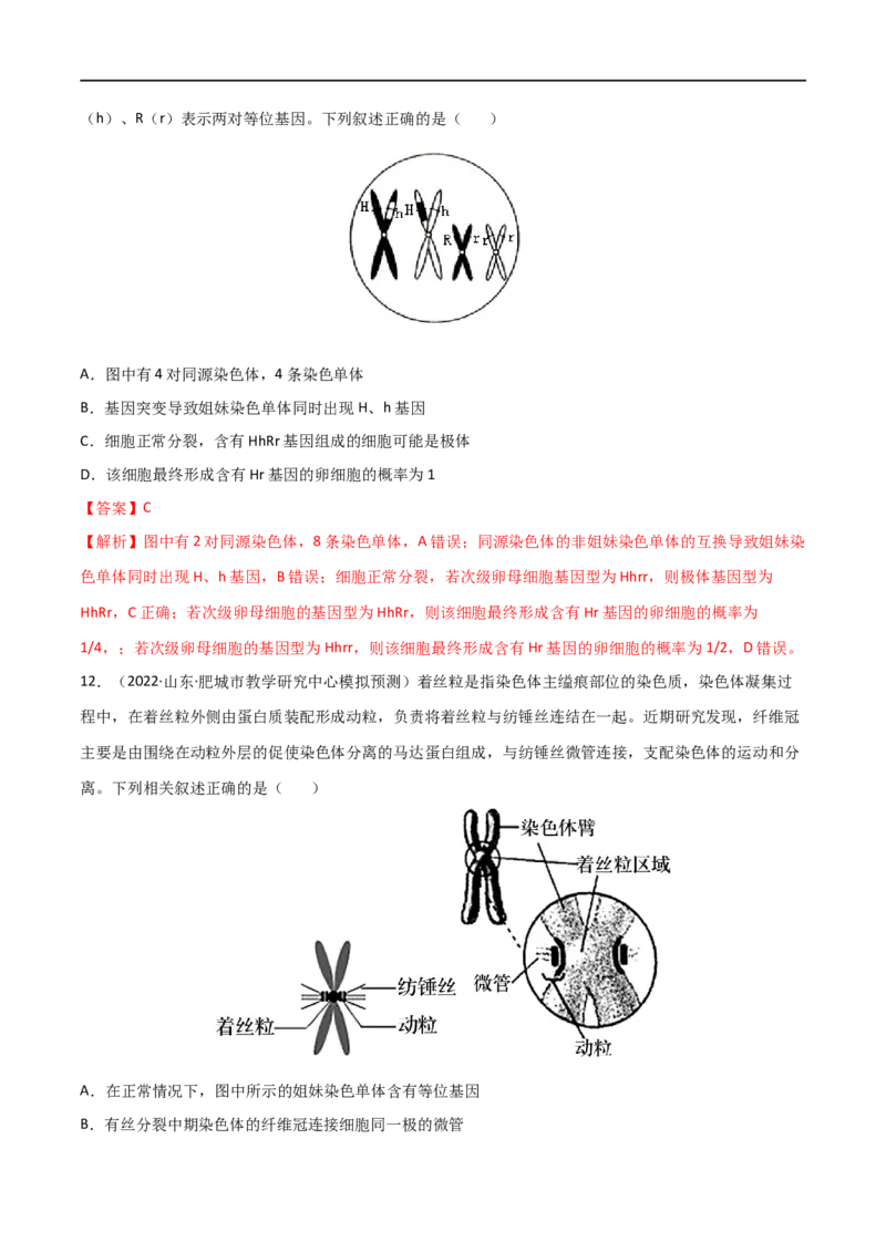 第11练减数分裂和受精作用（解析版）_新高考复习资料_2023年新高考复习资料_一轮复习_2023年高考生物一轮复习小题多维练（新高考专用）
