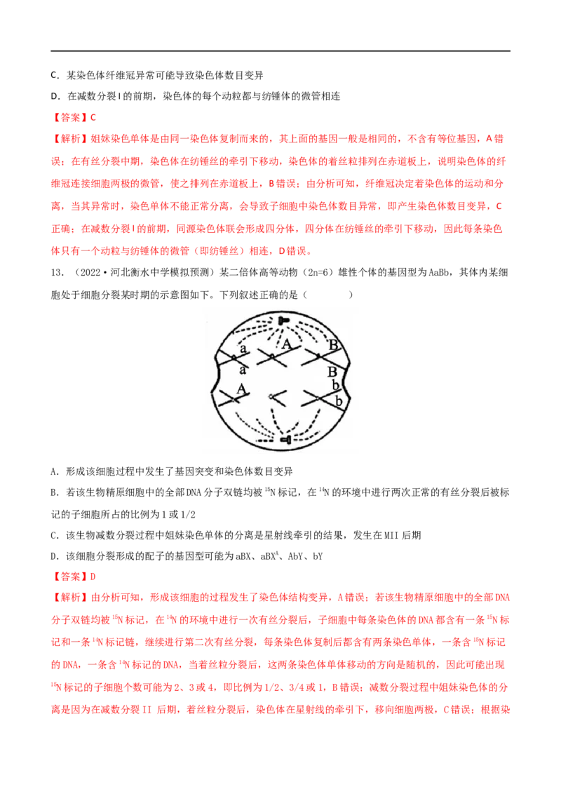 第11练减数分裂和受精作用（解析版）_新高考复习资料_2023年新高考复习资料_一轮复习_2023年高考生物一轮复习小题多维练（新高考专用）