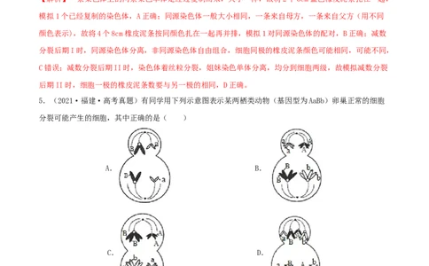 第11练减数分裂和受精作用（解析版）_新高考复习资料_2023年新高考复习资料_一轮复习_2023年高考生物一轮复习小题多维练（新高考专用）