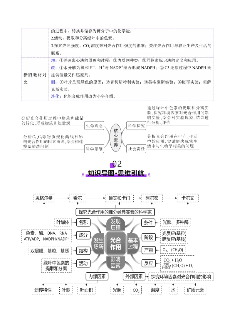 第10讲光合作用（第二课时）（讲义）（原卷版）_2025年新高考资料_一轮复习_2025年高考生物一轮复习讲练测（新教材新高考）