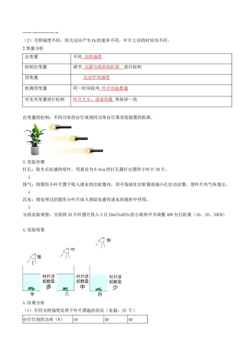 第10讲光合作用（第二课时）（讲义）（原卷版）_2025年新高考资料_一轮复习_2025年高考生物一轮复习讲练测（新教材新高考）