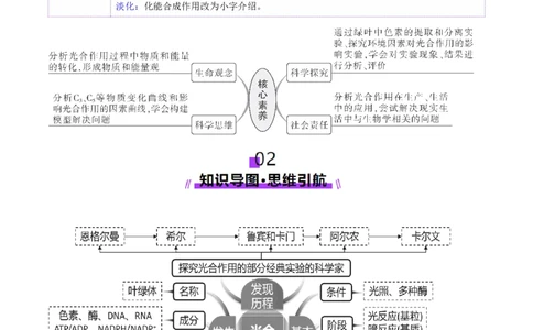 第10讲光合作用（第二课时）（讲义）（原卷版）_2025年新高考资料_一轮复习_2025年高考生物一轮复习讲练测（新教材新高考）