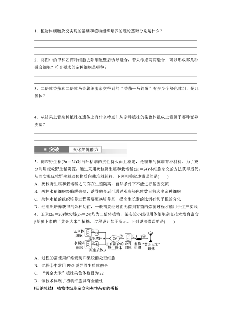第10单元　第3课时　植物细胞工程_新高考复习资料_2024年新高考复习资料_一轮复习资料_完2024生物步步高大一轮复习（课件+讲义）_2024年高考生物一轮复习讲义（新人教版）