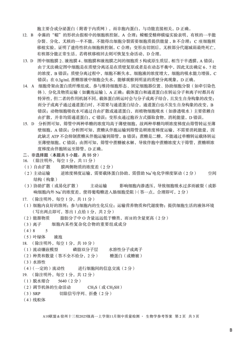 生物学答案（B卷）A10联盟＆宿州十三校2025级高一上学期11月期中质量检测生物学答案B_2025年11月高一试卷_251124安徽省A10联盟＆宿州十三校2025级高一上学期11月期中质量检测（全）