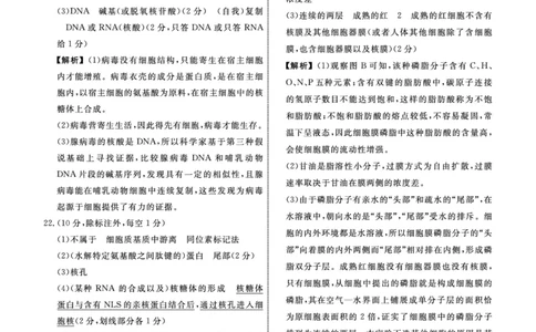 生物答案_2024年12月试卷_1206辽宁省名校联盟普通高中2024-2025学年高一12月月考_辽宁省名校联盟2024-2025学年高一12月联合考试生物试卷