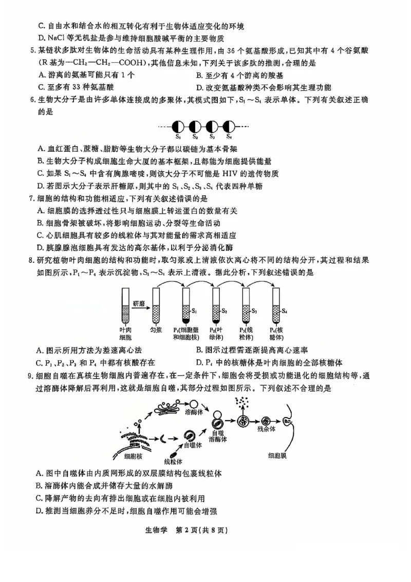 生物试题_2024年12月试卷_1206辽宁省名校联盟普通高中2024-2025学年高一12月月考_辽宁省名校联盟2024-2025学年高一12月联合考试生物试卷