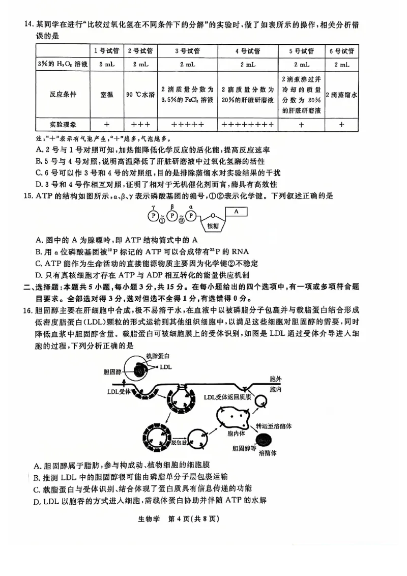 生物试题_2024年12月试卷_1206辽宁省名校联盟普通高中2024-2025学年高一12月月考_辽宁省名校联盟2024-2025学年高一12月联合考试生物试卷