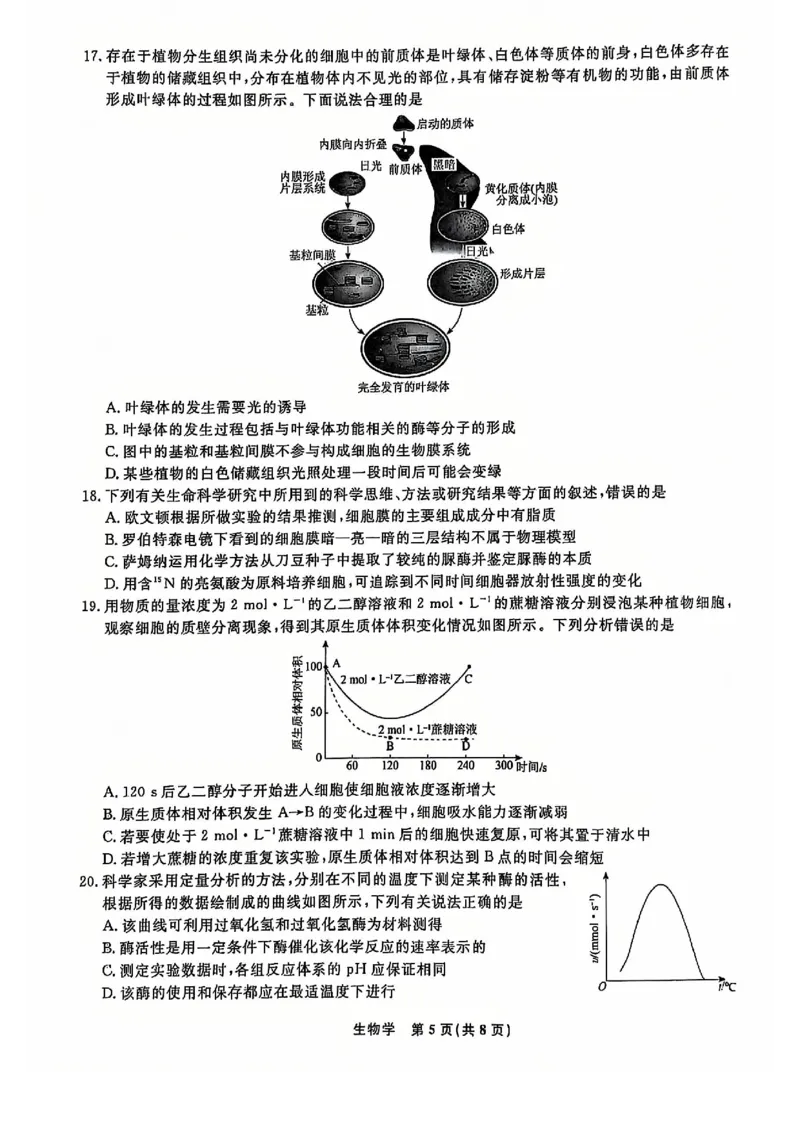 生物试题_2024年12月试卷_1206辽宁省名校联盟普通高中2024-2025学年高一12月月考_辽宁省名校联盟2024-2025学年高一12月联合考试生物试卷