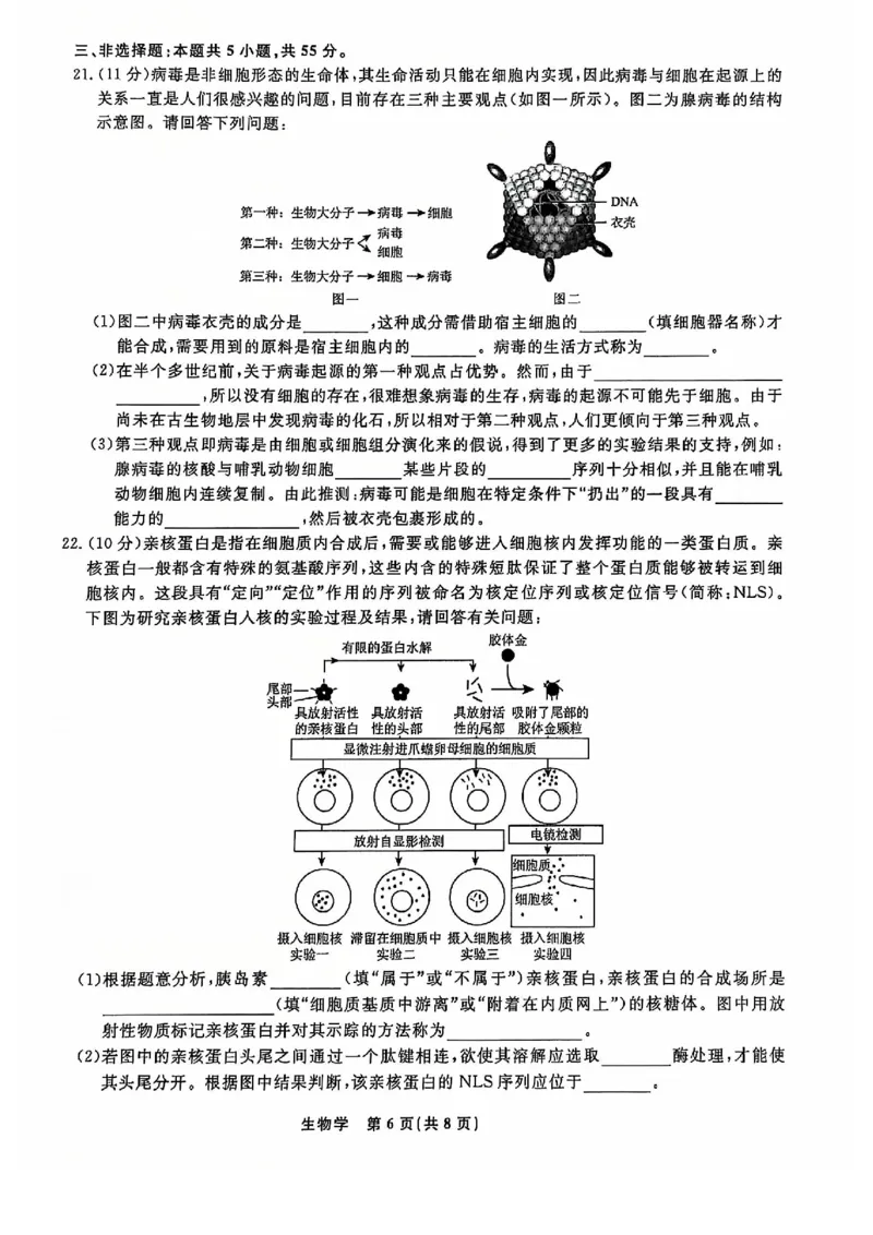 生物试题_2024年12月试卷_1206辽宁省名校联盟普通高中2024-2025学年高一12月月考_辽宁省名校联盟2024-2025学年高一12月联合考试生物试卷
