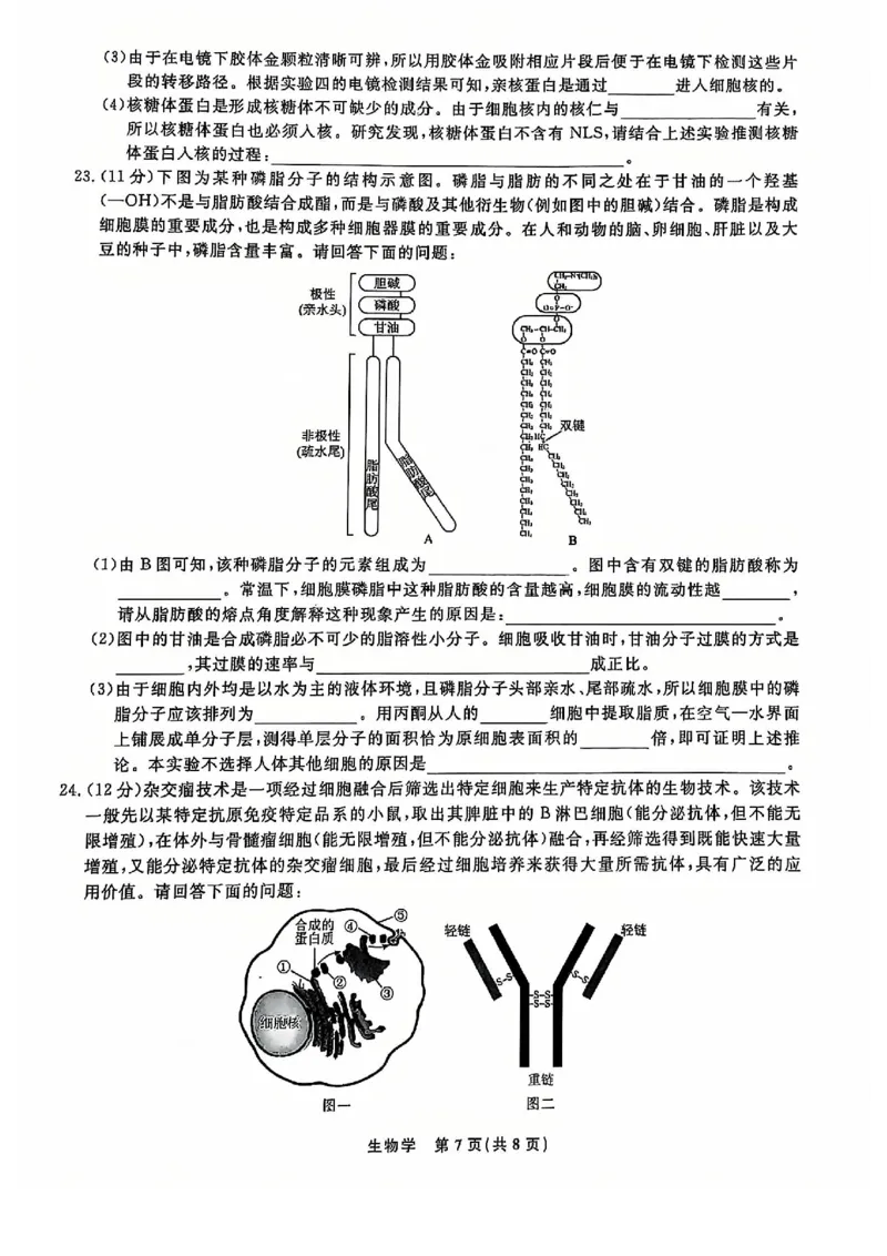 生物试题_2024年12月试卷_1206辽宁省名校联盟普通高中2024-2025学年高一12月月考_辽宁省名校联盟2024-2025学年高一12月联合考试生物试卷