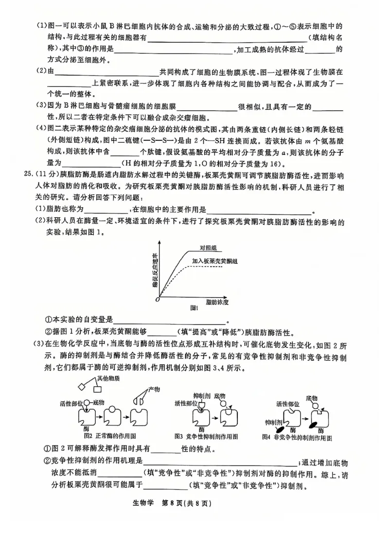 生物试题_2024年12月试卷_1206辽宁省名校联盟普通高中2024-2025学年高一12月月考_辽宁省名校联盟2024-2025学年高一12月联合考试生物试卷