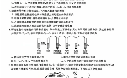 生物试题_2024年12月试卷_1206辽宁省名校联盟普通高中2024-2025学年高一12月月考_辽宁省名校联盟2024-2025学年高一12月联合考试生物试卷