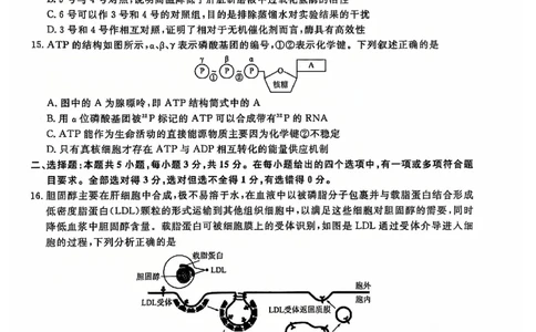 生物试题_2024年12月试卷_1206辽宁省名校联盟普通高中2024-2025学年高一12月月考_辽宁省名校联盟2024-2025学年高一12月联合考试生物试卷