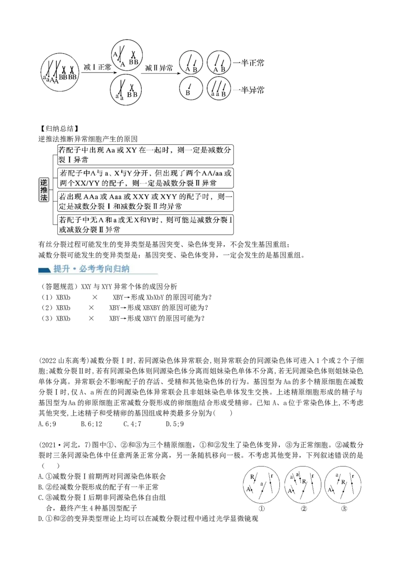 第13讲减数分裂和受精作用（讲义）（学生版）_新高考复习资料_2024年新高考复习资料_一轮复习资料_完2024年高考生物一轮复习讲练测(课件+讲义+练习)（新高考）_讲义+练习