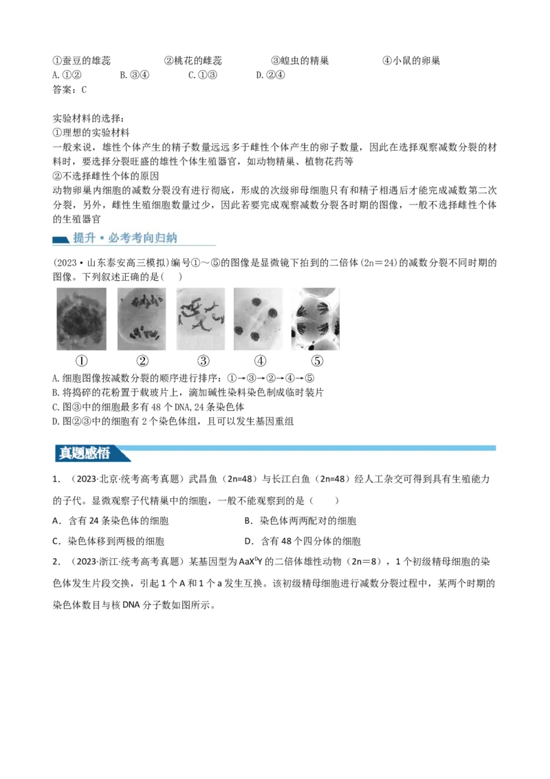 第13讲减数分裂和受精作用（讲义）（学生版）_新高考复习资料_2024年新高考复习资料_一轮复习资料_完2024年高考生物一轮复习讲练测(课件+讲义+练习)（新高考）_讲义+练习
