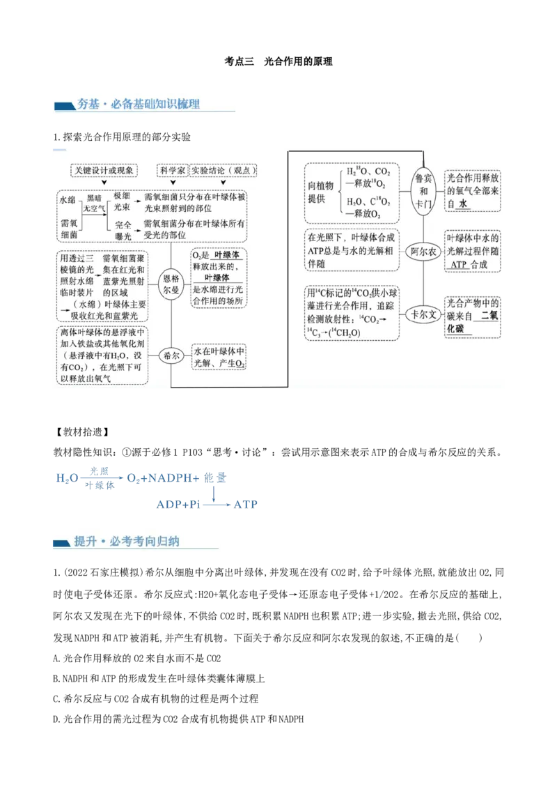 第10.1讲光合色素和光合作用原理（讲义）（教师版）_新高考复习资料_2024年新高考复习资料_一轮复习资料_完2024年高考生物一轮复习讲练测(课件+讲义+练习)（新高考）_讲义+练习