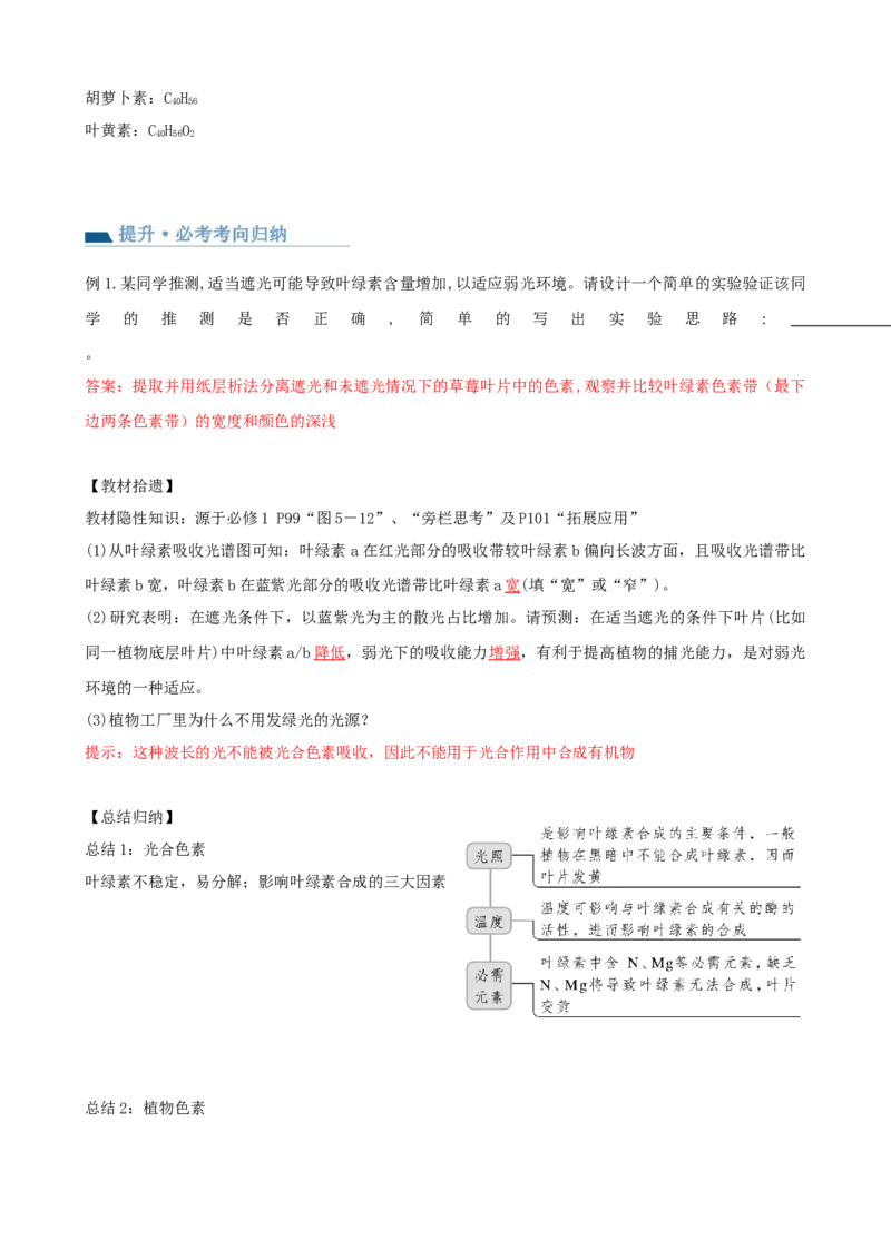 第10.1讲光合色素和光合作用原理（讲义）（教师版）_新高考复习资料_2024年新高考复习资料_一轮复习资料_完2024年高考生物一轮复习讲练测(课件+讲义+练习)（新高考）_讲义+练习