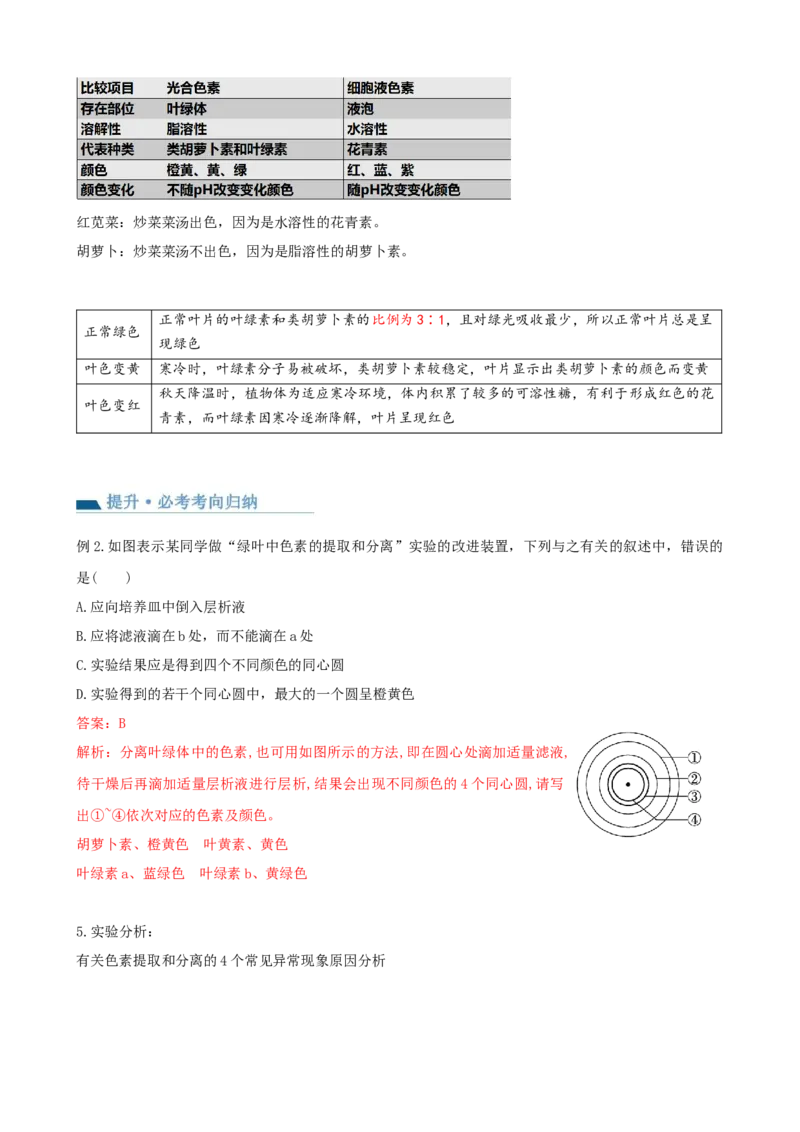 第10.1讲光合色素和光合作用原理（讲义）（教师版）_新高考复习资料_2024年新高考复习资料_一轮复习资料_完2024年高考生物一轮复习讲练测(课件+讲义+练习)（新高考）_讲义+练习