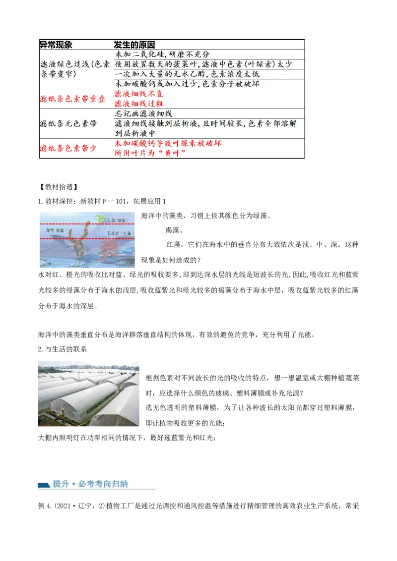 第10.1讲光合色素和光合作用原理（讲义）（教师版）_新高考复习资料_2024年新高考复习资料_一轮复习资料_完2024年高考生物一轮复习讲练测(课件+讲义+练习)（新高考）_讲义+练习