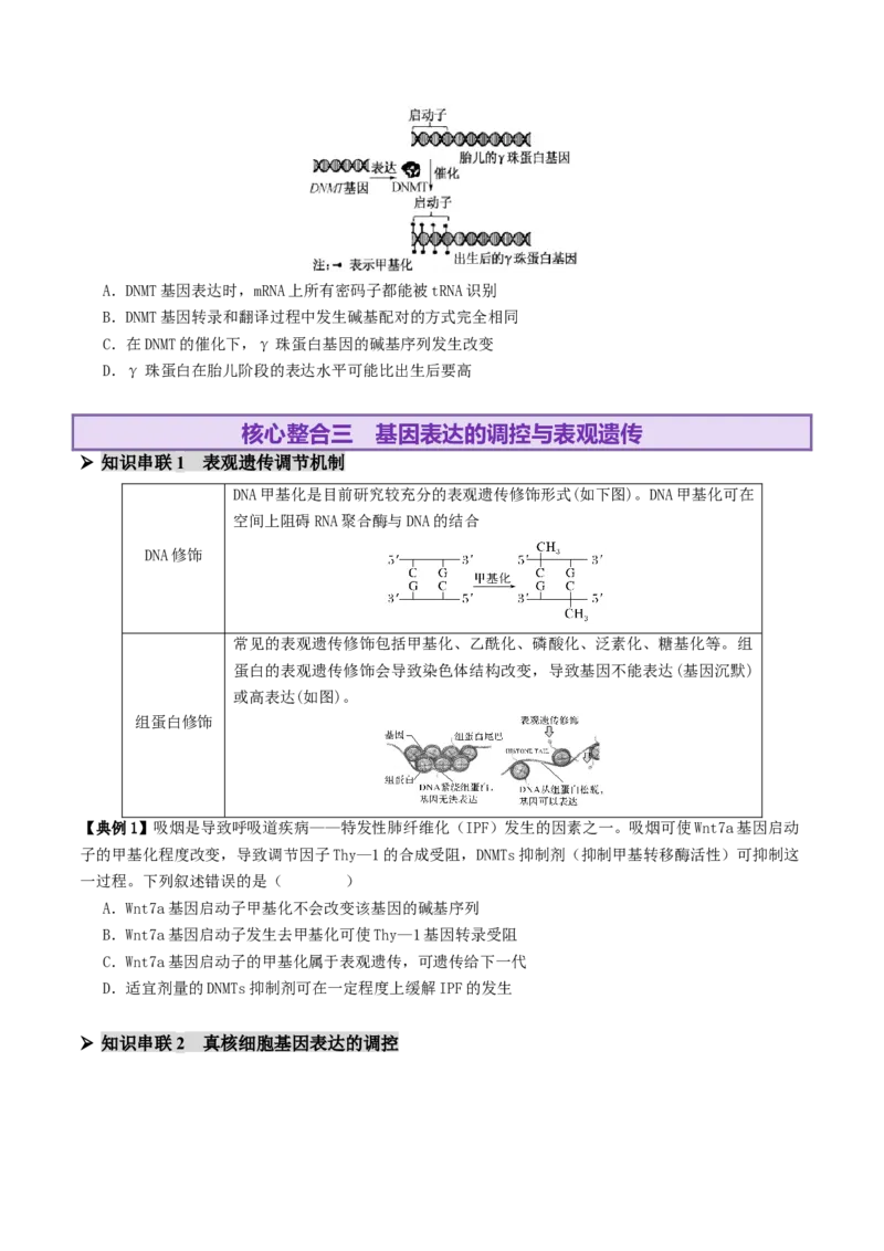 第09讲基因的本质和表达（配套讲义）（原卷版）_2025年新高考资料_二轮复习_上好课2025年高考生物二轮复习讲练测（新高考通用）3380526