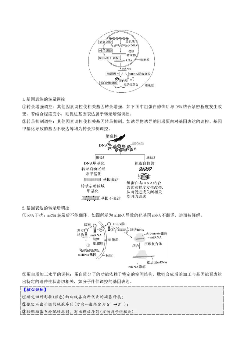 第09讲基因的本质和表达（配套讲义）（原卷版）_2025年新高考资料_二轮复习_上好课2025年高考生物二轮复习讲练测（新高考通用）3380526