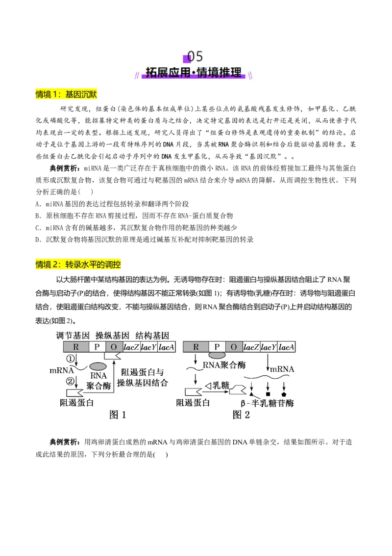 第09讲基因的本质和表达（配套讲义）（原卷版）_2025年新高考资料_二轮复习_上好课2025年高考生物二轮复习讲练测（新高考通用）3380526