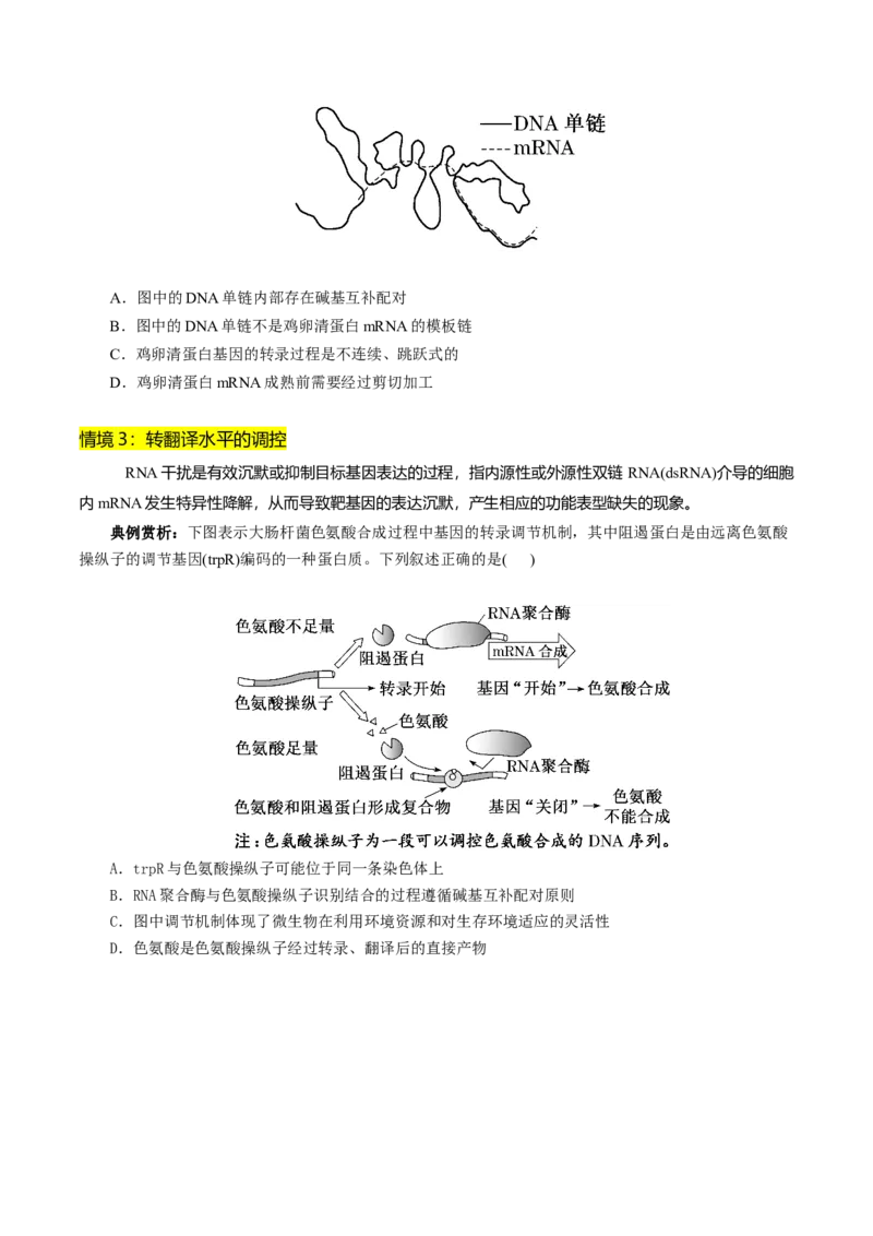 第09讲基因的本质和表达（配套讲义）（原卷版）_2025年新高考资料_二轮复习_上好课2025年高考生物二轮复习讲练测（新高考通用）3380526