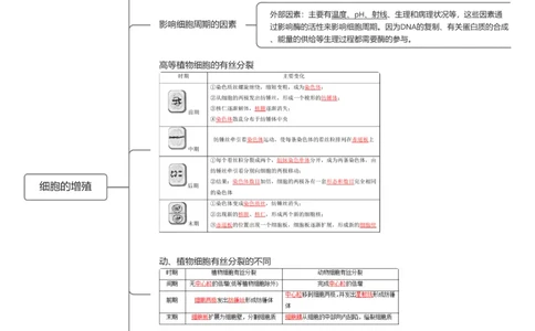 第12讲细胞的增殖_2025年新高考资料_一轮复习_2025年高考生物一轮复习讲练测（新教材新高考）