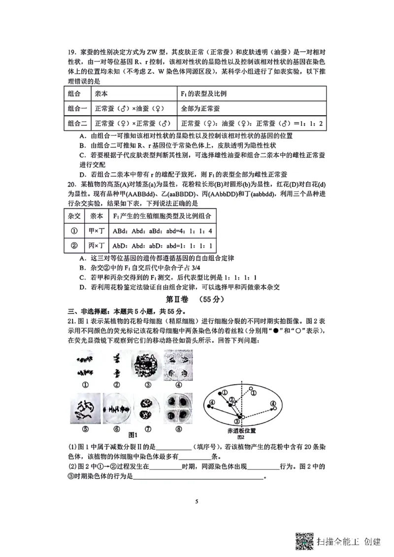 生物-辽宁沈阳二中2025-2026学年高一下学期4月月考_2026年04月高一试卷_260417辽宁沈阳二中2025-2026学年高一下学期4月月考