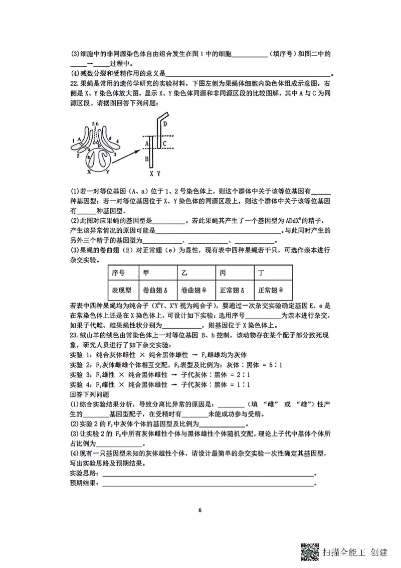 生物-辽宁沈阳二中2025-2026学年高一下学期4月月考_2026年04月高一试卷_260417辽宁沈阳二中2025-2026学年高一下学期4月月考