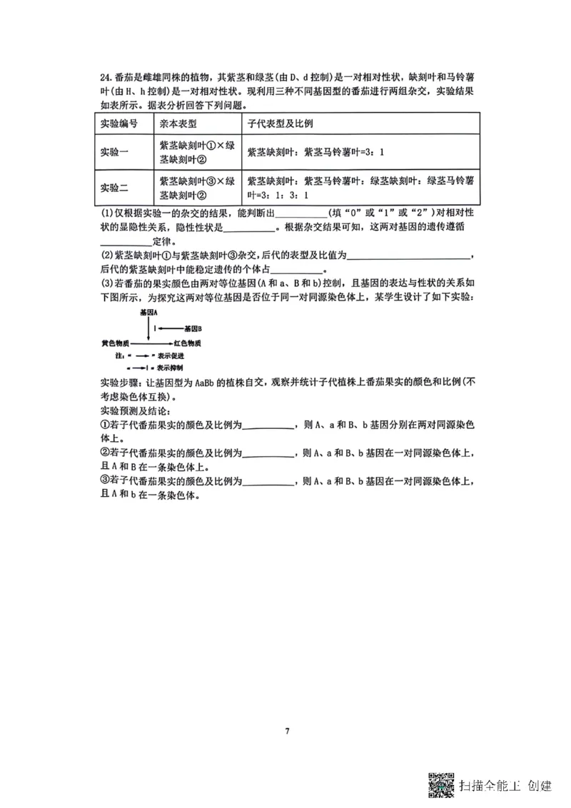 生物-辽宁沈阳二中2025-2026学年高一下学期4月月考_2026年04月高一试卷_260417辽宁沈阳二中2025-2026学年高一下学期4月月考
