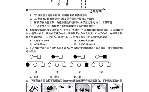 生物-辽宁沈阳二中2025-2026学年高一下学期4月月考_2026年04月高一试卷_260417辽宁沈阳二中2025-2026学年高一下学期4月月考