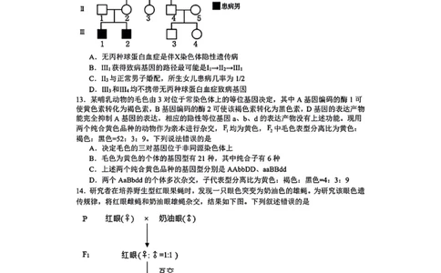 生物-辽宁沈阳二中2025-2026学年高一下学期4月月考_2026年04月高一试卷_260417辽宁沈阳二中2025-2026学年高一下学期4月月考
