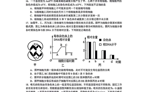 生物-辽宁沈阳二中2025-2026学年高一下学期4月月考_2026年04月高一试卷_260417辽宁沈阳二中2025-2026学年高一下学期4月月考