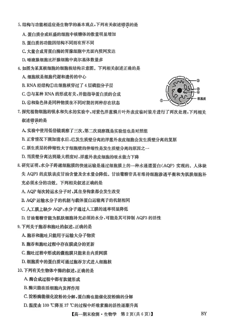甘肃省靖远县第一中学2025-2026学年第一学期期末高一生物学试题_2026年01月高一试卷_260116甘肃省白银市靖远县第一中学2025-2026学年高一上学期1月期末