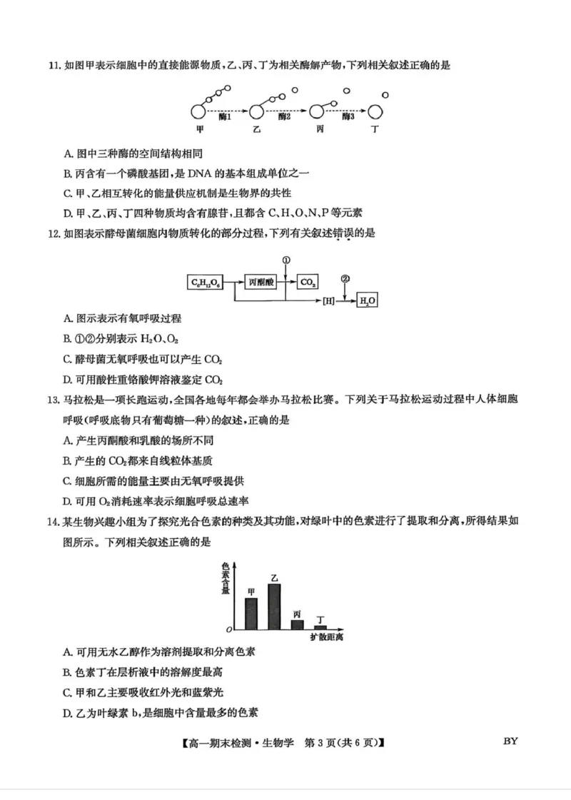 甘肃省靖远县第一中学2025-2026学年第一学期期末高一生物学试题_2026年01月高一试卷_260116甘肃省白银市靖远县第一中学2025-2026学年高一上学期1月期末