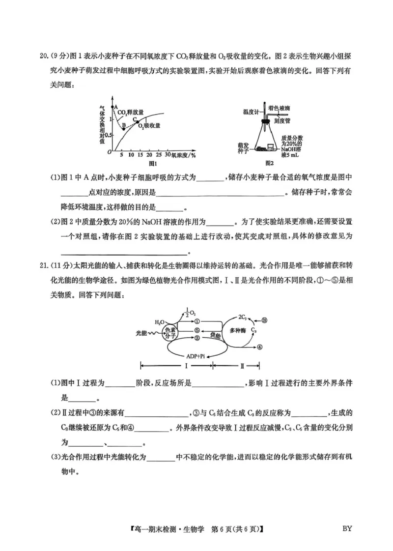 甘肃省靖远县第一中学2025-2026学年第一学期期末高一生物学试题_2026年01月高一试卷_260116甘肃省白银市靖远县第一中学2025-2026学年高一上学期1月期末