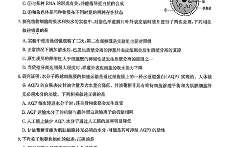 甘肃省靖远县第一中学2025-2026学年第一学期期末高一生物学试题_2026年01月高一试卷_260116甘肃省白银市靖远县第一中学2025-2026学年高一上学期1月期末