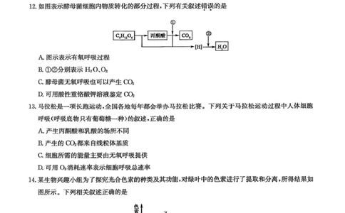 甘肃省靖远县第一中学2025-2026学年第一学期期末高一生物学试题_2026年01月高一试卷_260116甘肃省白银市靖远县第一中学2025-2026学年高一上学期1月期末